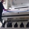 نصب ماشین سورتینگ برنج لیزری مستر در آمل