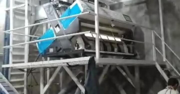 سورت بادام زمینی از ضایعات توسط دستگاه ۵ کانال سورتمستر ۰۹۱۱۳۱۴۴۱۹۷ ساعدی